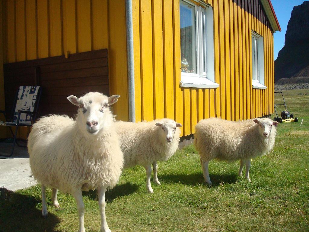 Hænuvík Cottages Hnjotur Exterior foto